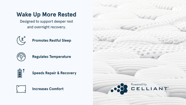 Bear Elite Hybrid Mattress - Mattress on Demand