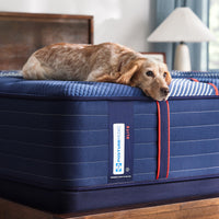 Sealy Posturepedic® Elite Albany 14" Firm Mattress - Mattress on Demand