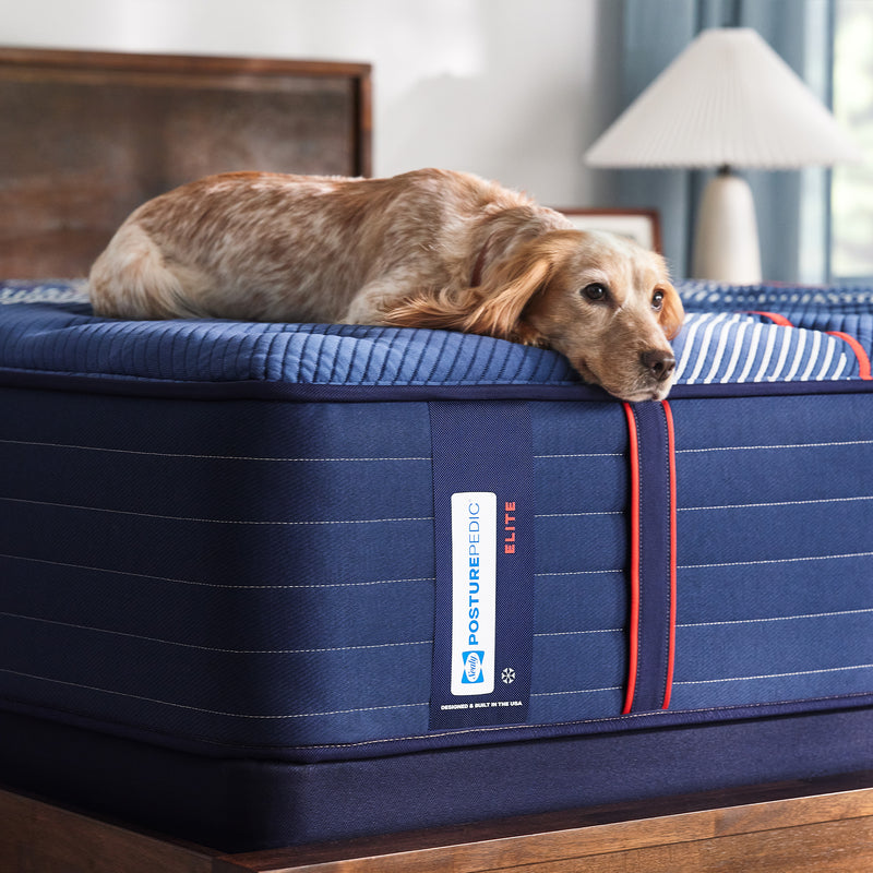 Sealy Posturepedic® Elite Albany 14" Firm Mattress - Mattress on Demand