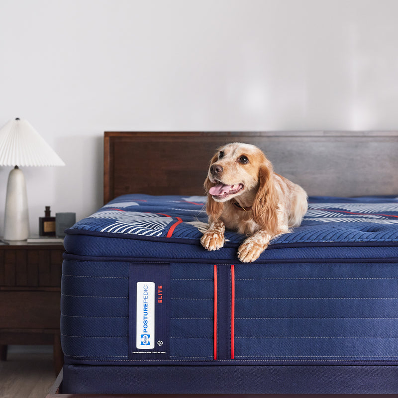 Sealy Posturepedic® Elite Albany 15" Soft EPT Mattress - Mattress on Demand