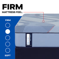 Sealy Posturepedic® Pro Hybrid Dupont Firm Mattress - Mattress on Demand