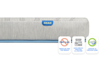 Bear Trundle Mattress - Mattress On Demand