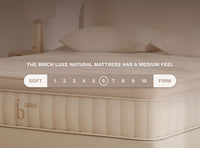 Birch Luxe Natural Mattress - Mattress on Demand
