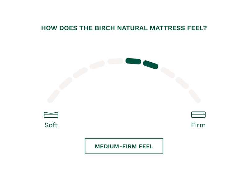 Birch Natural Mattress - Mattress on Demand