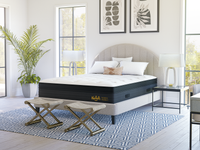 Nolah Evolution Comfort+ 14-inch Hybrid Mattress - Mattress On Demand