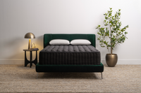 KOVA Luxe™ 15" Firm Cooling Latex Hybrid - Mattress on Demand