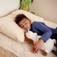 Naturepedic PLA Pillow with Organic Cotton Fabric