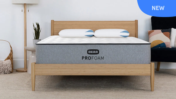 Bear Pro Foam Mattress - Mattress On Demand