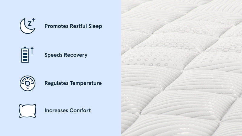 Bear Original Mattress - Mattress On Demand