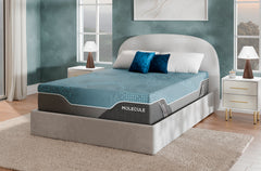 MOLECULE Reflex Elite Hybrid 14" Plush Cooling Mattress - Mattress on Demand