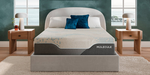 MOLECULE Reflex Elite 14" Mattress - Plush