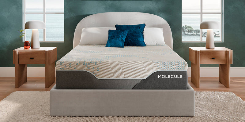 MOLECULE Reflex Elite 14" Mattress - Plush