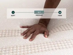 Leesa Reserve Hybrid Mattress - Mattress on Demand