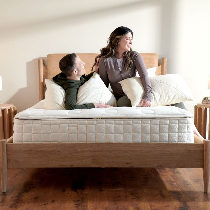 Naturepedic PLA Pillow with Organic Cotton Fabric product image